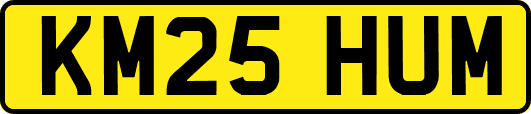 KM25HUM