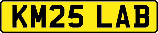 KM25LAB