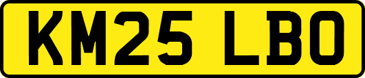 KM25LBO