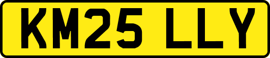 KM25LLY