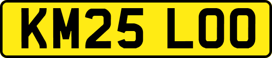 KM25LOO