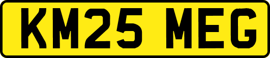 KM25MEG