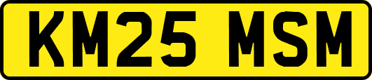 KM25MSM