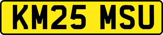 KM25MSU
