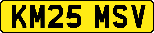 KM25MSV