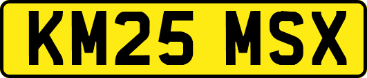 KM25MSX
