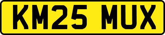 KM25MUX