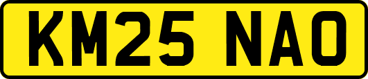 KM25NAO