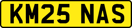 KM25NAS