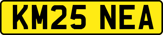 KM25NEA