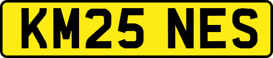 KM25NES