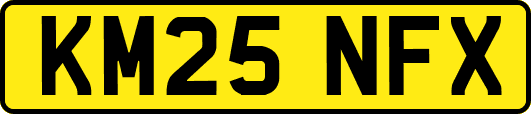 KM25NFX