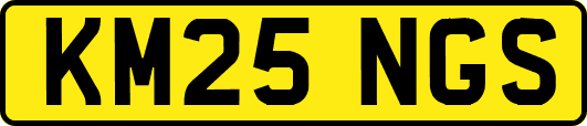 KM25NGS