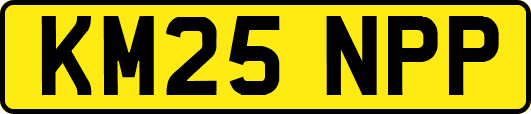 KM25NPP