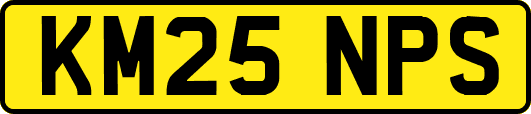 KM25NPS