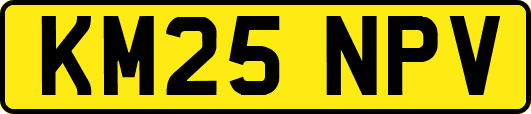 KM25NPV