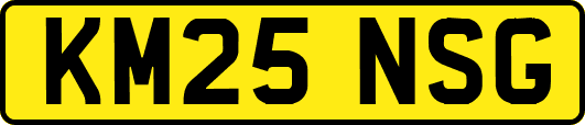 KM25NSG