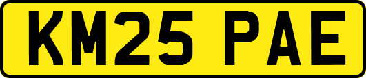 KM25PAE