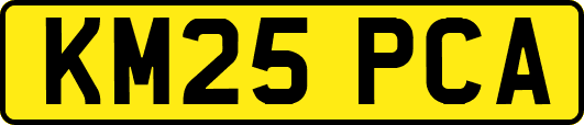 KM25PCA