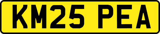 KM25PEA