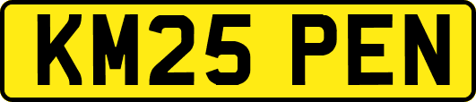 KM25PEN