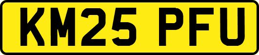 KM25PFU