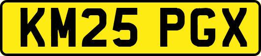 KM25PGX