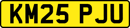 KM25PJU