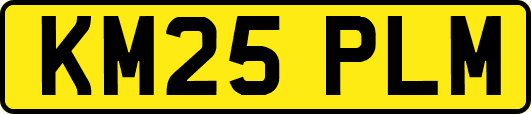 KM25PLM