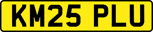 KM25PLU
