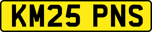 KM25PNS