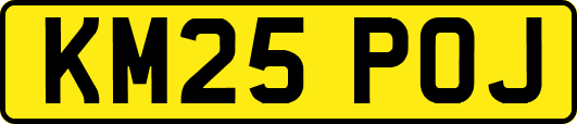 KM25POJ