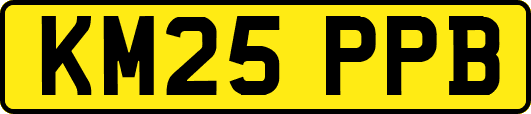 KM25PPB