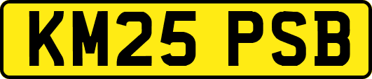 KM25PSB