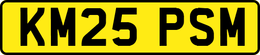 KM25PSM