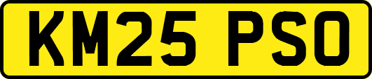 KM25PSO