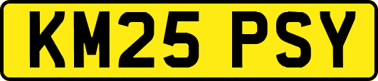 KM25PSY