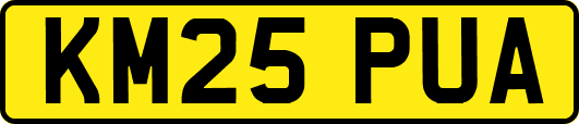 KM25PUA