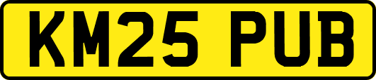 KM25PUB