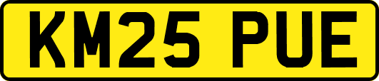 KM25PUE