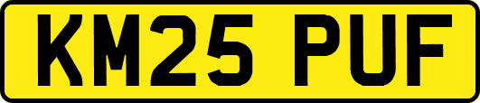 KM25PUF