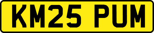KM25PUM