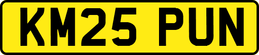 KM25PUN