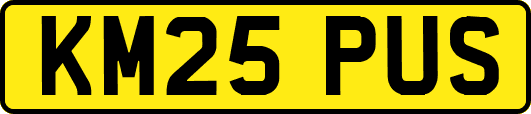 KM25PUS