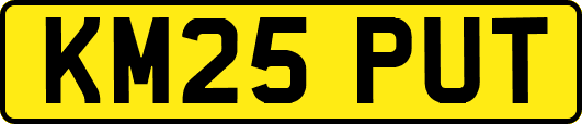 KM25PUT