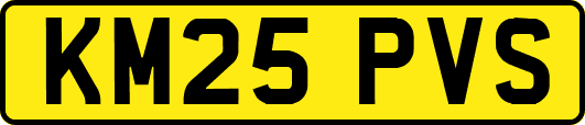 KM25PVS
