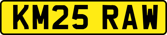 KM25RAW
