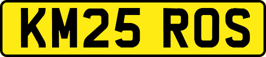 KM25ROS