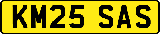 KM25SAS
