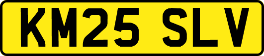 KM25SLV